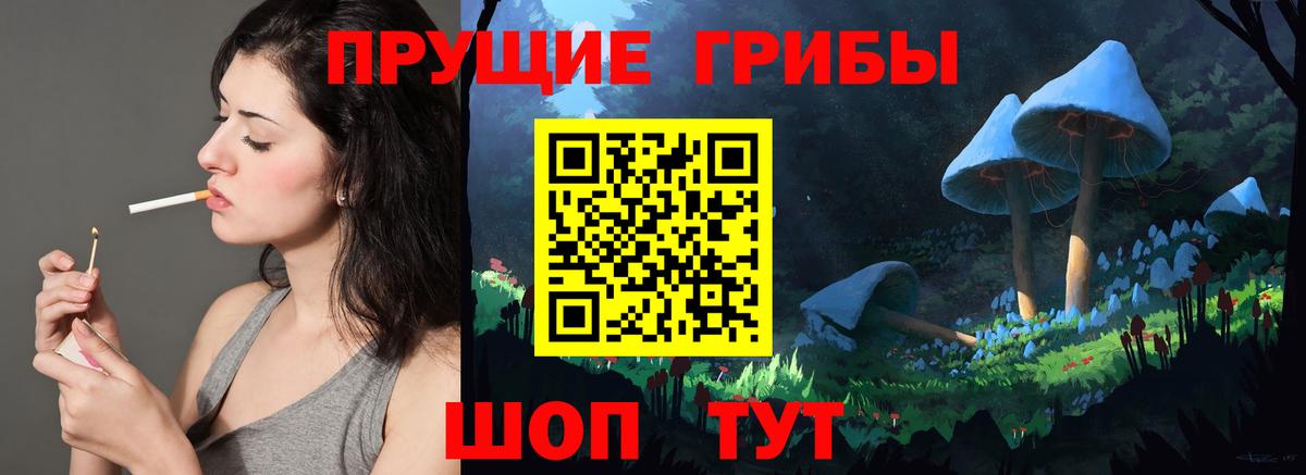 Галлюциногенные грибы Cubensis Домодедово